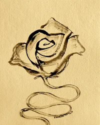 Elegant Flowing Rose