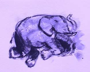 Elephant 42
