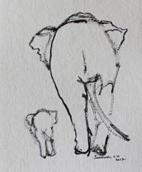 Elephant Family Walk