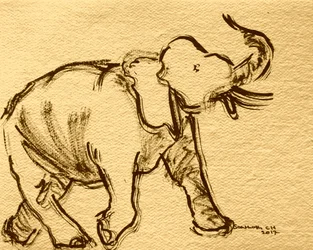 Expressive Elephant Sketch
