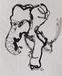 Expressive Line Drawing