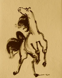 Horse 24
