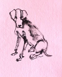 Ink Dog Sketch