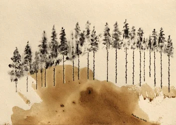 Minimal Forest Line