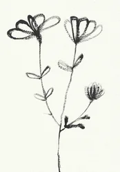 Minimalist Floral Sketch