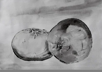 Monochrome Citrus Halves