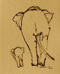 Mother Baby Elephants