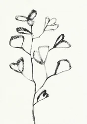 Organic Leaf Drawing