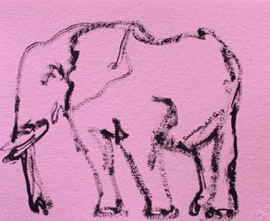 Pink Elephant Sketch