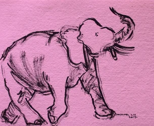Pink Elephant Sketch