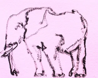 Pink Elephant Sketch