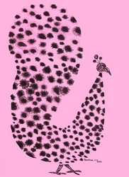 Pink Spotted Peacock