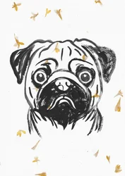 Pug With Falling Petals