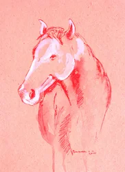Red Horse Sketch