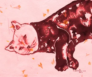 Sleeping Red Cat