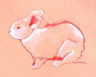 Sweet Little Rabbit
