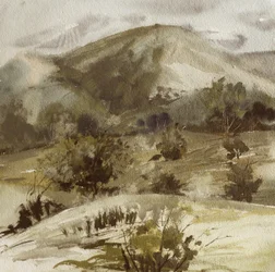Tranquil Country Hills