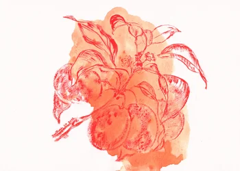 Watercolor Peach Branch