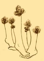 Whimsical Feet Flowers