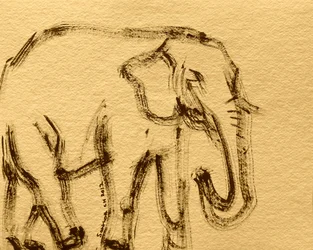 Wild Elephant Sketch