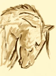 Wild Horse Sketch