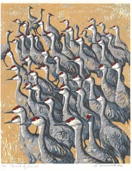 Crowd of Cranes