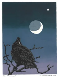 Nocturne