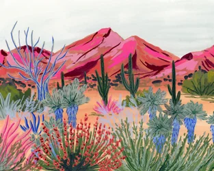 Colorful Desert Vista