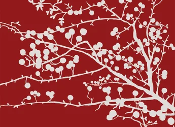 Berries