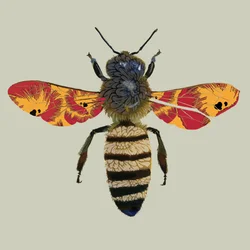 Honey Bee