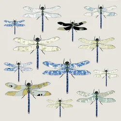 Odonata