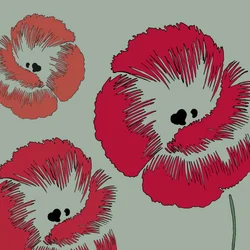 Picnic Poppy, 2005