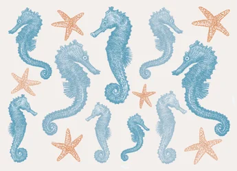 Seahorses and Starfish, 2017