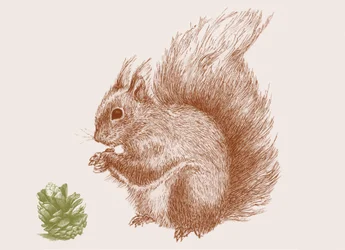 Squirrel, 2017