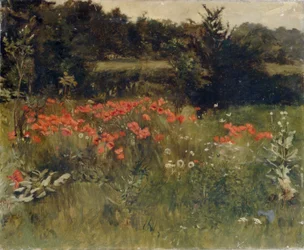 Poppies, Reigate