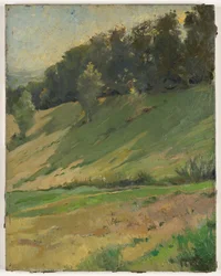 View from Llandrindod Wells: The Upper Link, c.1900