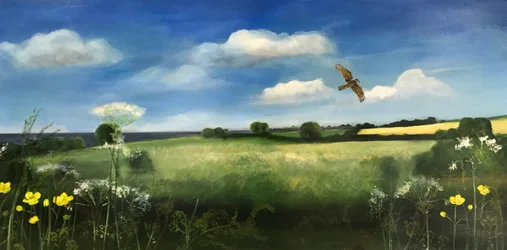Buzzard