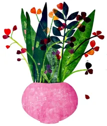 Pink Pot