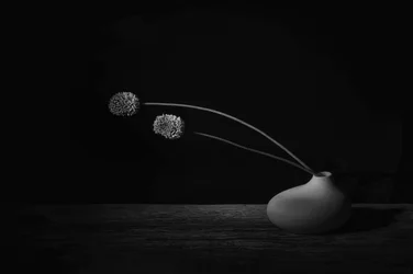Elegant Floral Still Life