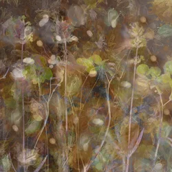 Ethereal Botanical Garden