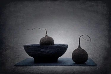 Moody Radish Still Life