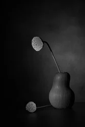 Quiet Lotus Still Life
