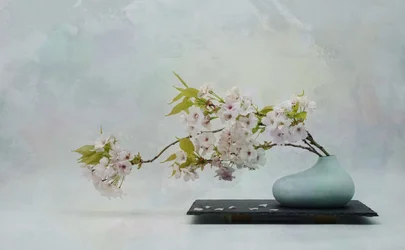 Zen Blossom Still Life