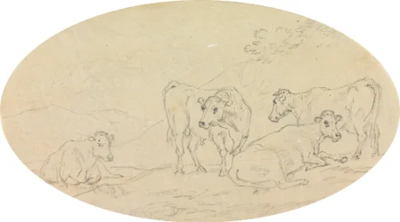 Four Cows in a Field