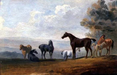 Horses
