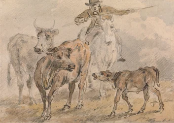 Man on a Horse Herding Two Cows and a Calf