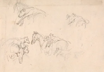 Study of Horses Carrying Calves on their Backs