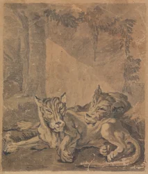 Two Tigers