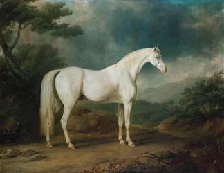 White Horse in a Wooded Landscape