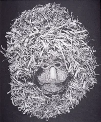 Iroquois Mask